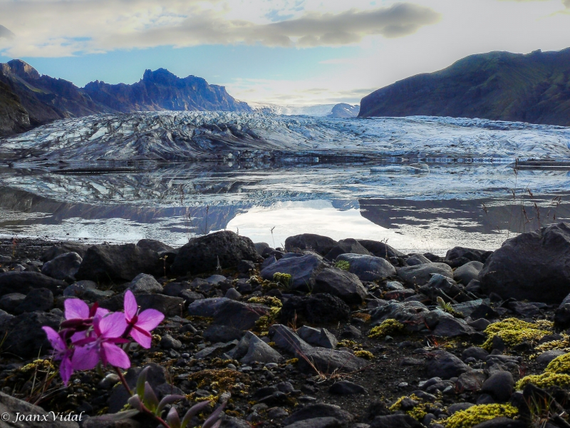 glaciar de Vantnajkull