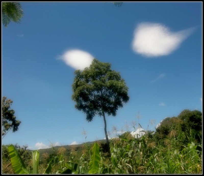 PAISAJE 12