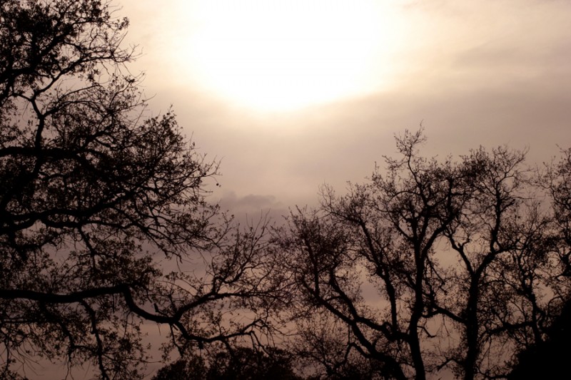 El Silencio y la Soledad