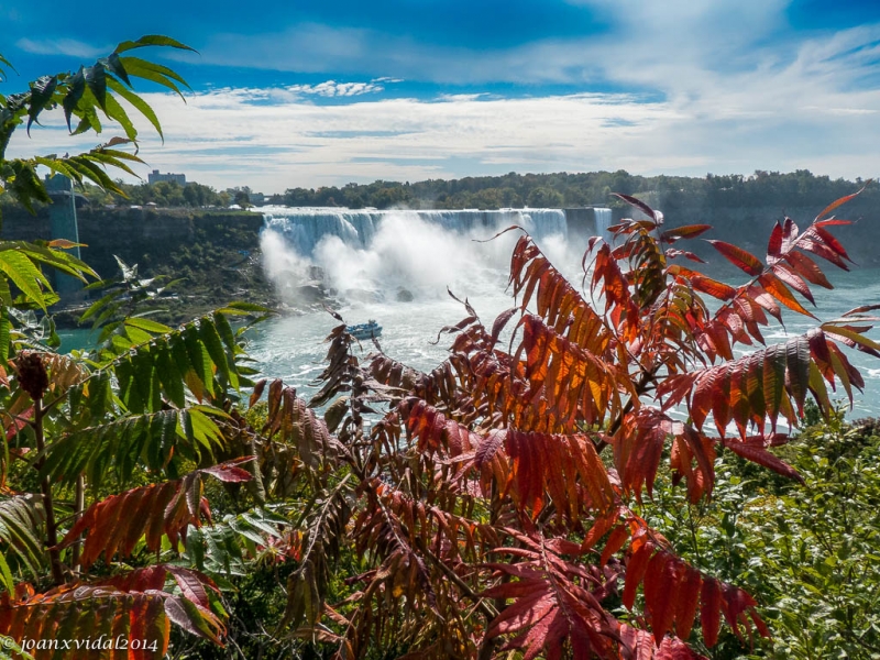 Niagara Falls