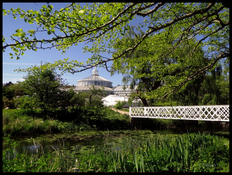 Jardn Botnico