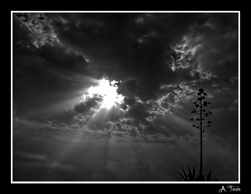 Rayos de luz