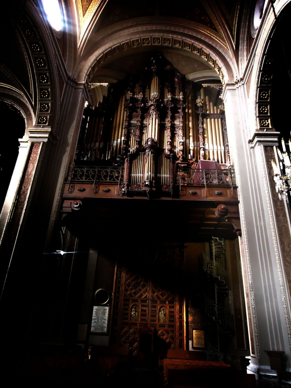 Organo - Catedral