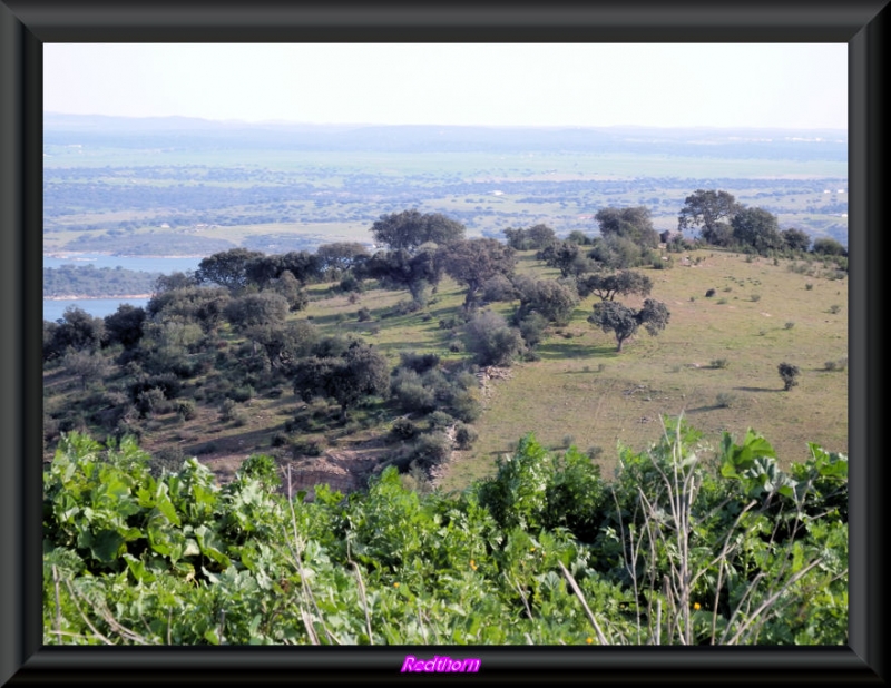 Alrededores del lago de Alqueva