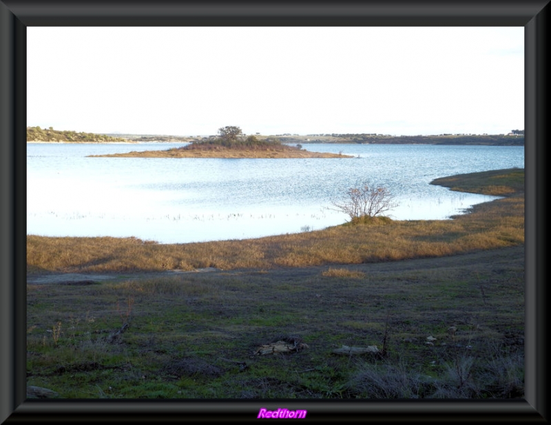 La isla enmedio del lago