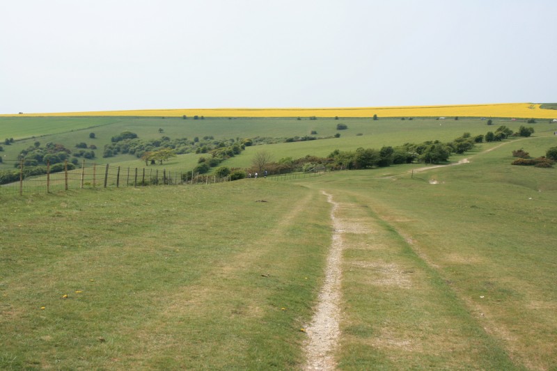 Ditchling Beacon