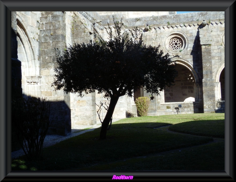 Un rincn del claustro de la Catedral